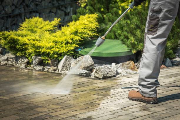 Best Sidewalk and Walkway Cleaning  in Tecumseh, MI