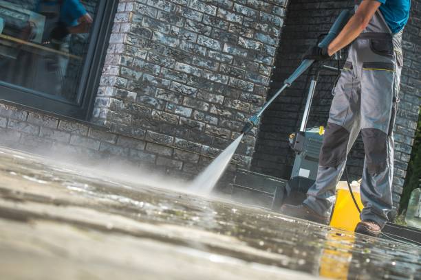 Best Roof Washing  in Tecumseh, MI